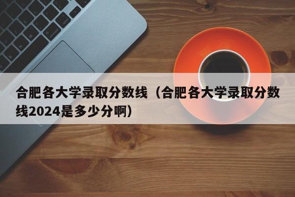 合肥各大学录取分数线（合肥各大学录取分数线2024是多少分啊）