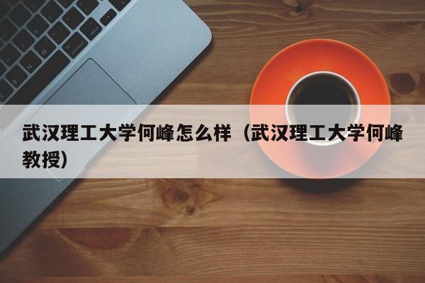武汉理工大学何峰怎么样（武汉理工大学何峰教授）