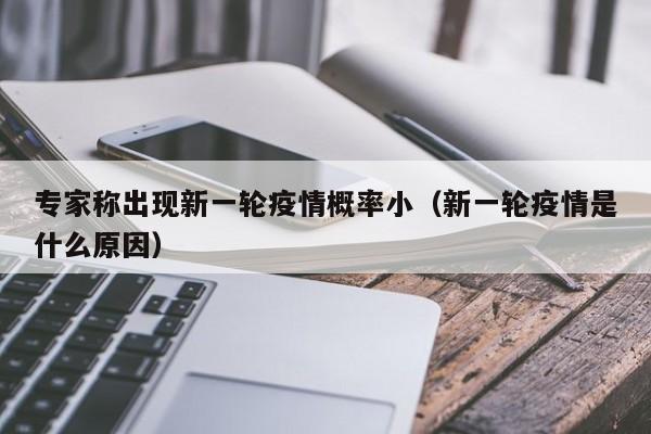 专家称出现新一轮疫情概率小（新一轮疫情是什么原因）