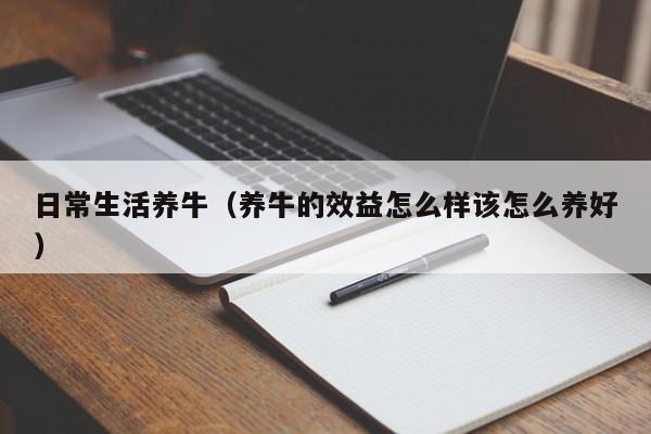 日常生活养牛(养牛的效益怎么样该怎么养好)