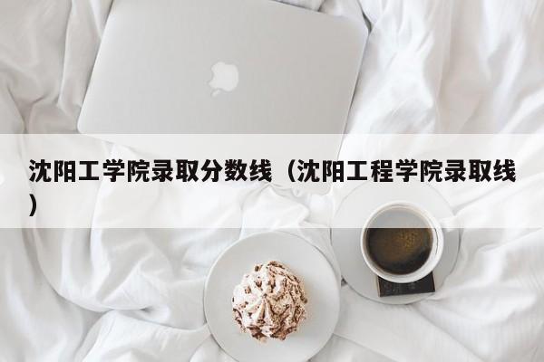 沈阳工学院录取分数线(沈阳工程学院录取线)