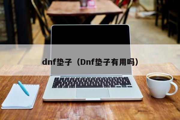 dnf垫子(Dnf垫子有用吗)
