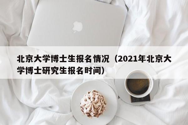 北京大学博士生报名情况(2021年北京大学博士研究生报名时间)