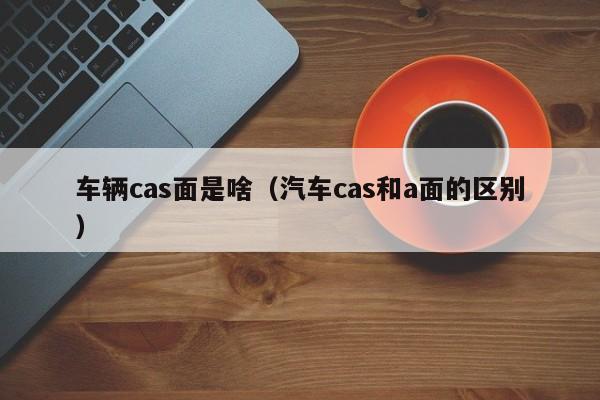 车辆cas面是啥(汽车cas和a面的区别)