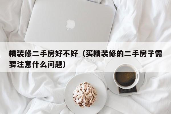 精装修二手房好不好(买精装修的二手房子需要注意什么问题)